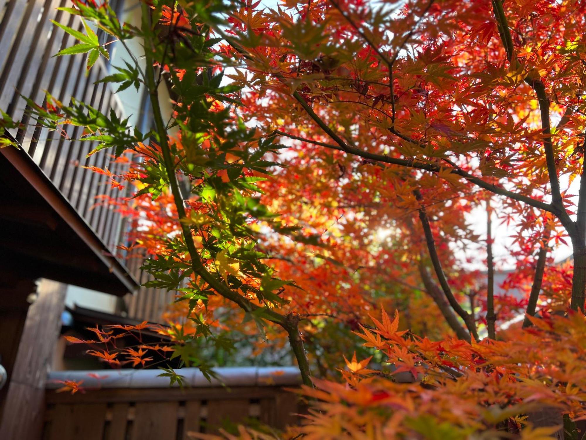 교토 Imakumano Terrace - Dohachi An 道八庵 빌라 외부 사진